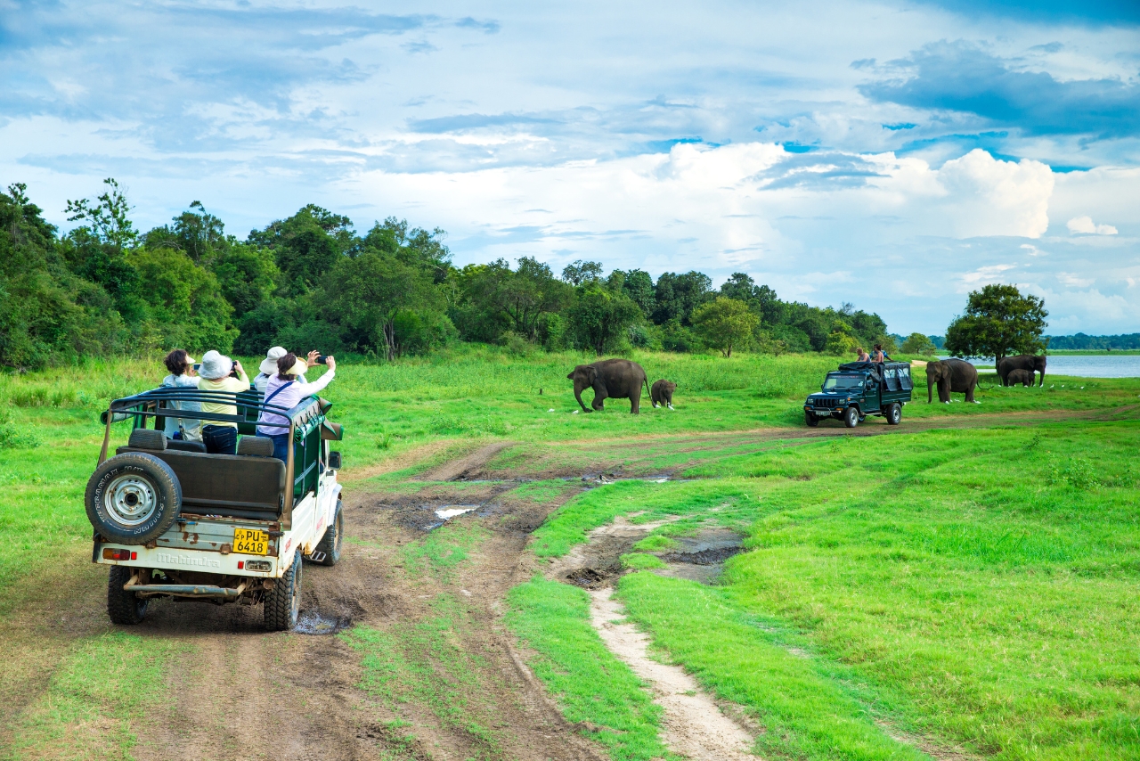 Tailor-Made Tours